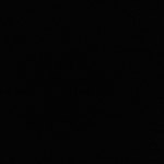 profile img