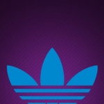 profile img