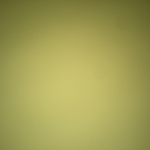 profile img