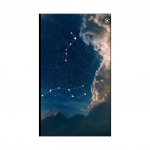 profile img