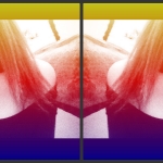 profile img