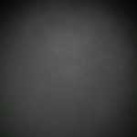 profile img