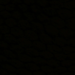 profile img