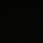profile img