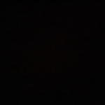profile img
