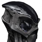 profile img