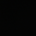 profile img