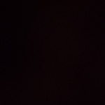 profile img