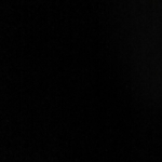 profile img