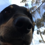 profile img