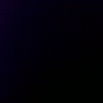 profile img