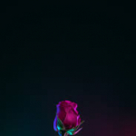 profile img