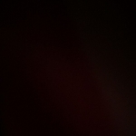 profile img