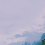 profile img