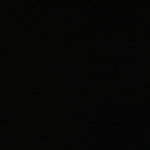 profile img