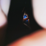 profile img