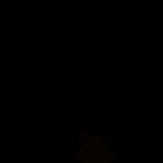 profile img