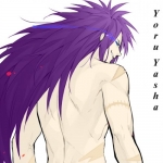 profile img