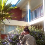 profile img