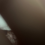 profile img