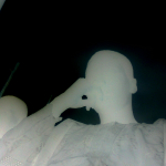 profile img