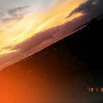 profile img