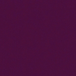 profile img