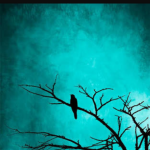 profile img