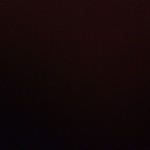 profile img