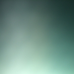 profile img