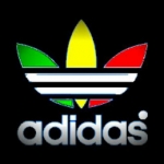 profile img