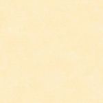 profile img