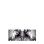 profile img