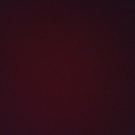 profile img