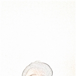profile img