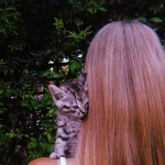 profile img