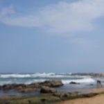profile img